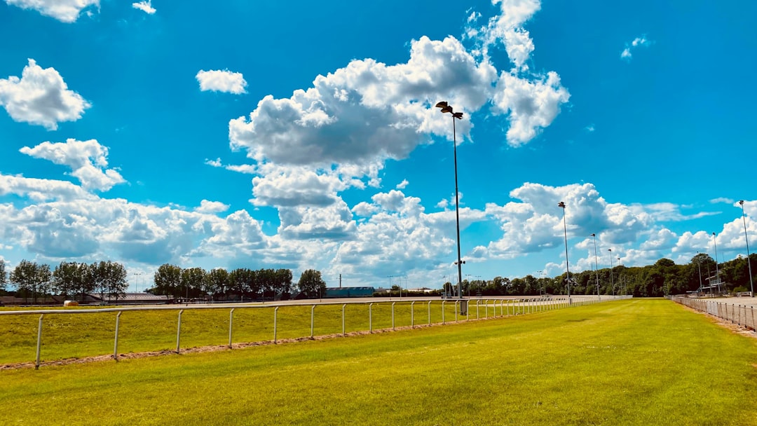 Photo Horse race track