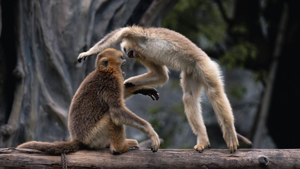 Photo Playful flirtation