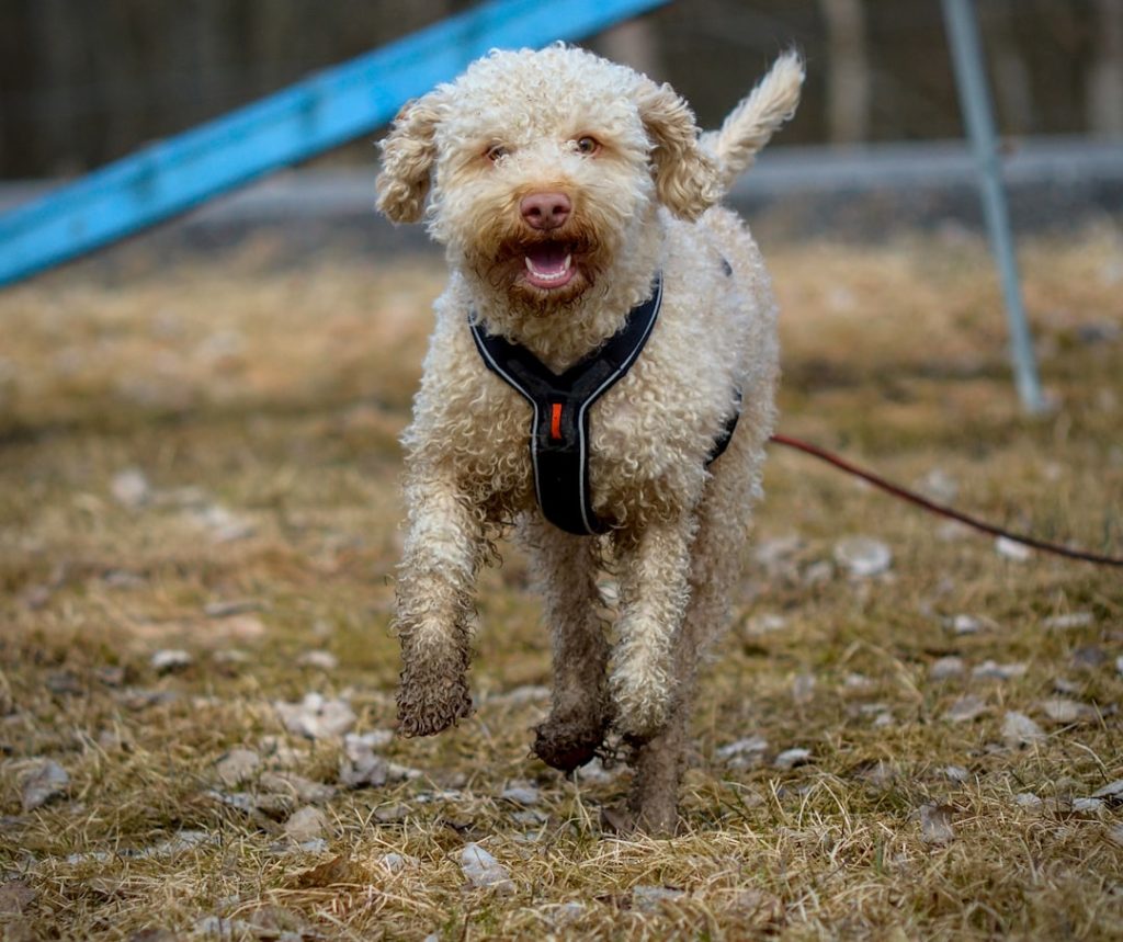 Photo Excited winner